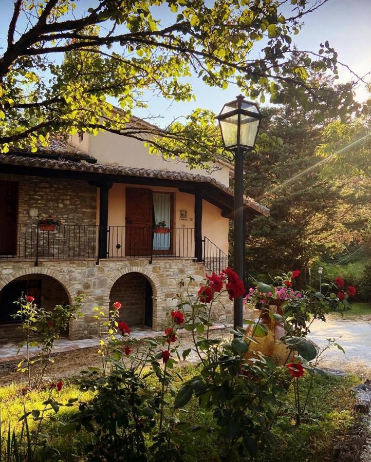 Le Querce Di Assisi Hostal Piano Delle Pieve Exterior foto