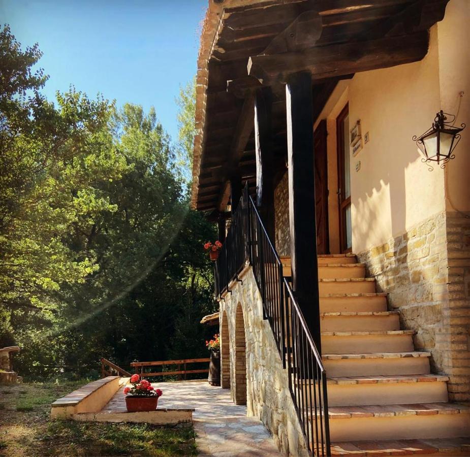 Le Querce Di Assisi Hostal Piano Delle Pieve Exterior foto